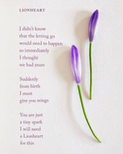 Load image into Gallery viewer, Jessica Chapnik Kahn - MADRE