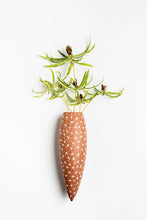 Load image into Gallery viewer, Small Wall Hanging Vase
