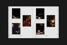 Load image into Gallery viewer, ZAHALKAWORLD: an artist's archive
